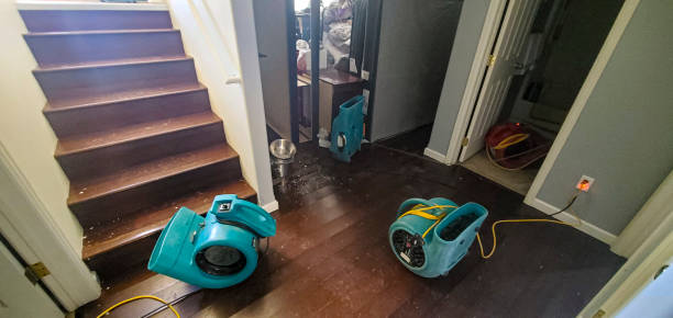 Best Water damage restoration near me  in Bono, AR