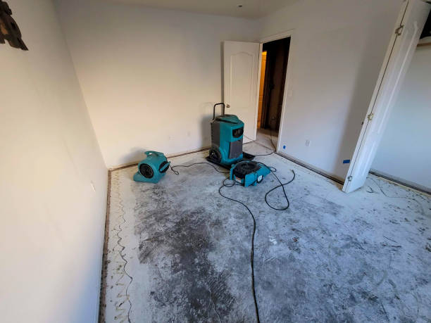 Best Flood damage cleanup  in Bono, AR