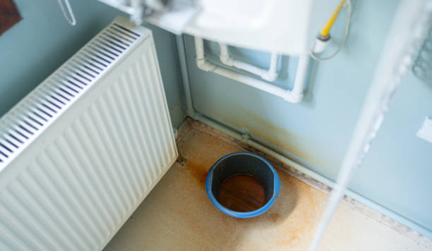 Best Carpet water damage restoration  in Bono, AR