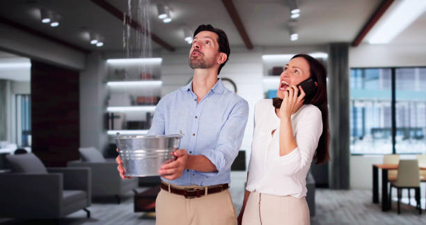 Best Commercial water damage restoration  in Bono, AR