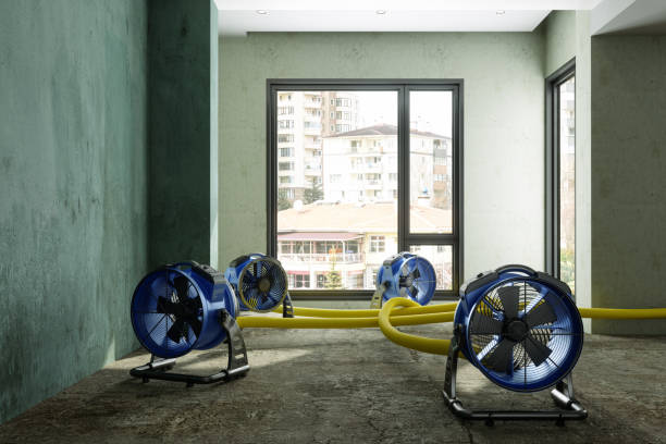 Trusted AR Water damage restoration Experts