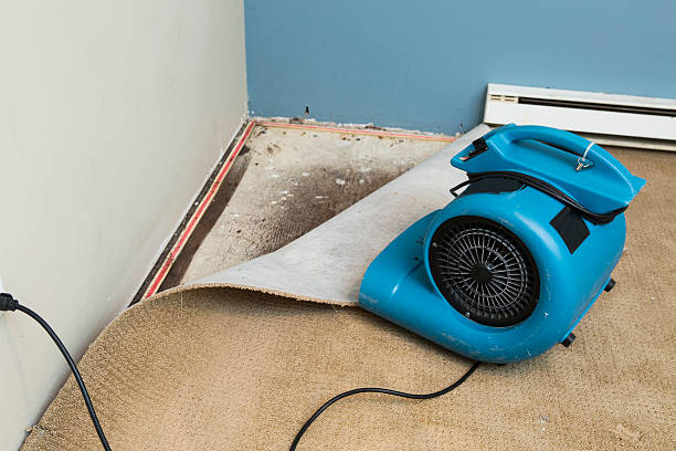 Best Flood restoration services  in Bono, AR
